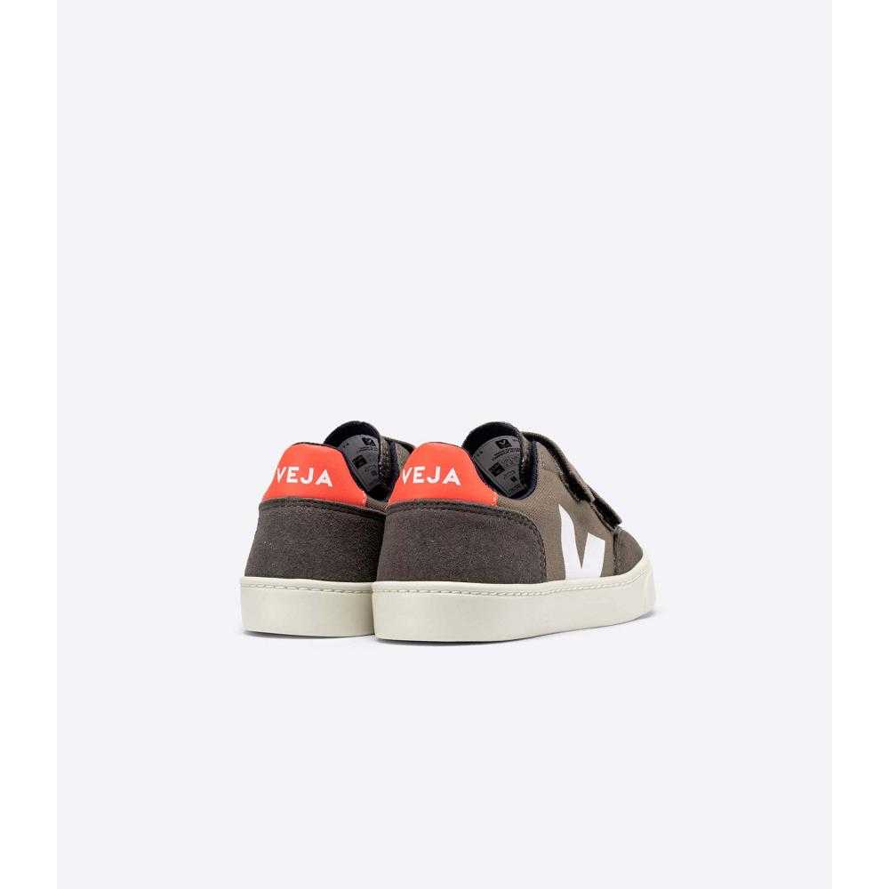 Veja V-12 CANVAS Kids' Shoes Coffee | NZ 804GSO